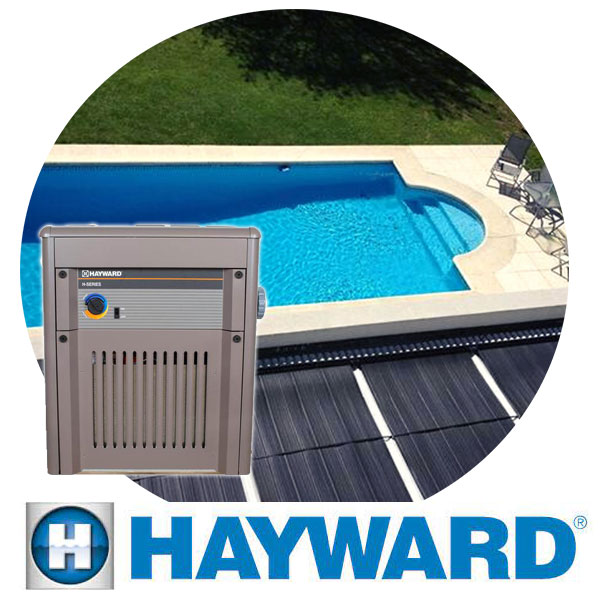 Service Hayward Argentina